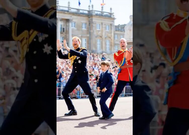Nice…!!! #princelouis #princeharry #princewilliam #royal