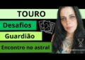 🌀TOURO/ Desafios 😳 fofocas 😝 guardião 👑 encontro no astral.