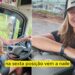 As Caminhoneiras Mais Lindas e Famosas do Brasil