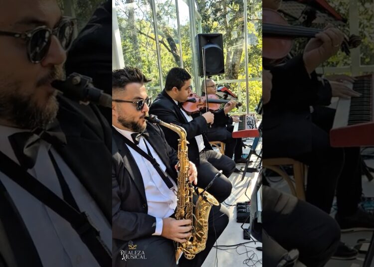 Married Of Life | Orquestra Realeza Musical | Músicos Para Casamento