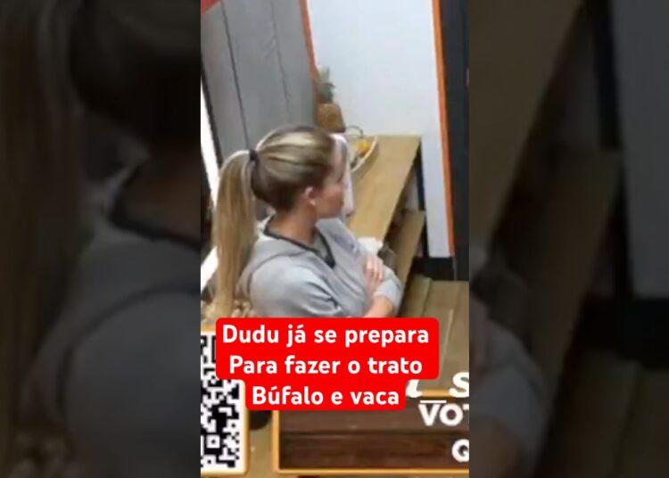 🔥 A FAZENDA 17 – DUDU E SAORY JA SE PREPARAM PARA FAZER O TRATO, VACA E BUFALO, #afazenda17