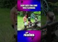 Saory quer Wallas na roça #afazenda17 #realityshow #fofocalizandohoje #fofocas #noticias