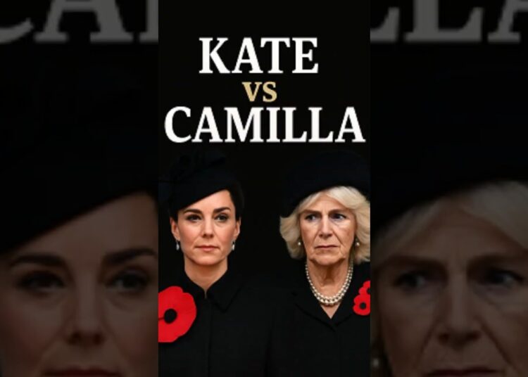 Por que Kate Usou Menos Papoulas? #KateMiddleton #RainhaCamilla #RealezaBritânica #PrincipeWilliam