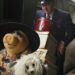 A Disney não tem ideia do que fazer com os Muppets, mas um filme de Miss Piggy é um ótimo começo