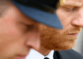 A viagem do Príncipe Harry ao Canadá é uma 'declaração de guerra' contra William, afirma Royal Insider
