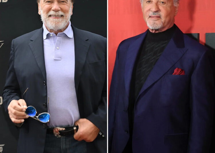 Arnold Schwarzenegger e Sylvester Stallone explicam como sua rivalidade começou: '2 Alphas Hitting'