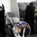 Assista à celebração repleta de PDAs de Meghan Markle e Príncipe Harry após os Dodgers vencerem a World Series