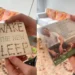 Como a última parceria do FVNERAL com Ben Lee nasceu da comunidade