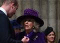 Como o príncipe William e a rainha Camilla causaram “angústia familiar”