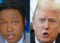 'Daily Show' faz uma grande zombaria dessa história de Trump no nível 'Looney Tunes'