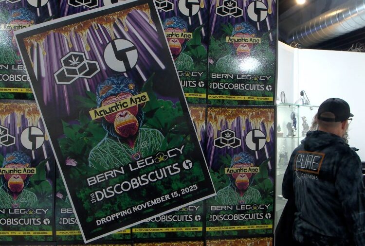 Disco Biscuits e galeria Bern criam colaboração