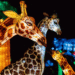 Display ZooLights ilumina a magia das festas | Artes e Entretenimento