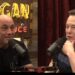 Elon Musk promete revelar apenas evidências alienígenas para Joe Rogan depois que o podcaster perguntar sobre o misterioso cometa do tamanho de Manhattan