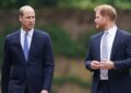 Equipe do Príncipe Harry nega ter atirado em William em viagem ao Canadá