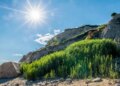 Franklin Jonas cantou jingle de Block Island Ferry no show em Providence