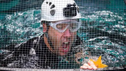 I'm A Celebrity muda regras para julgamentos de bushtuckers