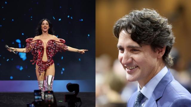 Katy Perry reage à fantasia de tubarão de Justin Trudeau - Fonte