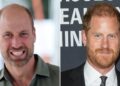 Medos reais sobre o uso do helicóptero do príncipe William relacionado a Harry