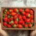Mr Griff: Strawberry Preserve Fundraiser em Cambridge, Reino Unido – Uma noite de funk, soul e música de fusão apoiando eventos da comunidade local: aqui estão mais informações novas que você deve saber