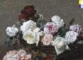 Música e cidades: Trifecta do New Order – 'Power, Corruption & Lies', 'Low-Life' e 'Brotherhood' na cidade de Nova York