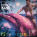 O Novo Cidadão Kane quebra fronteiras em “PSYCHEDELIKA Pt.1”
