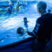 O caminho da água forçou James Cameron a finalmente relaxar