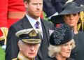 O insulto de duas palavras do Príncipe Harry contra Camilla que foi longe demais – Royals – Notícias