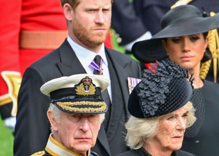 O insulto de duas palavras do Príncipe Harry contra Camilla que foi longe demais – Royals – Notícias