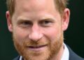 O motivo do príncipe Harry implorar a Donald Trump para expulsá-lo dos EUA – Royals – Notícias