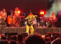 Estranho Al Yankovic