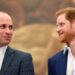 O sonho de infância do príncipe William, revelado em forte contraste com o príncipe Harry