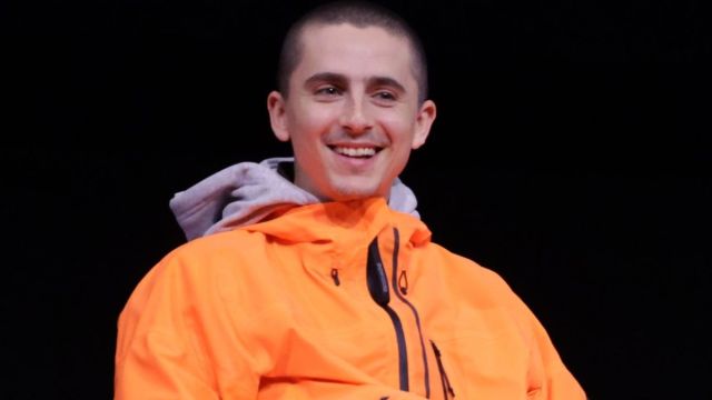Os fãs acham que Timothee Chalamet é secretamente um rapper do TikTok