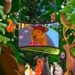 Os melhores filmes, TV e shows para assistir nesta temporada de férias