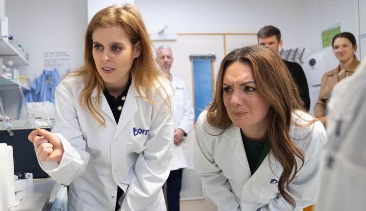 Princesa Beatrice aparece em seu primeiro evento de caridade no Reino Unido desde que Andrew foi destituído do título de príncipe | Notícias do Reino Unido