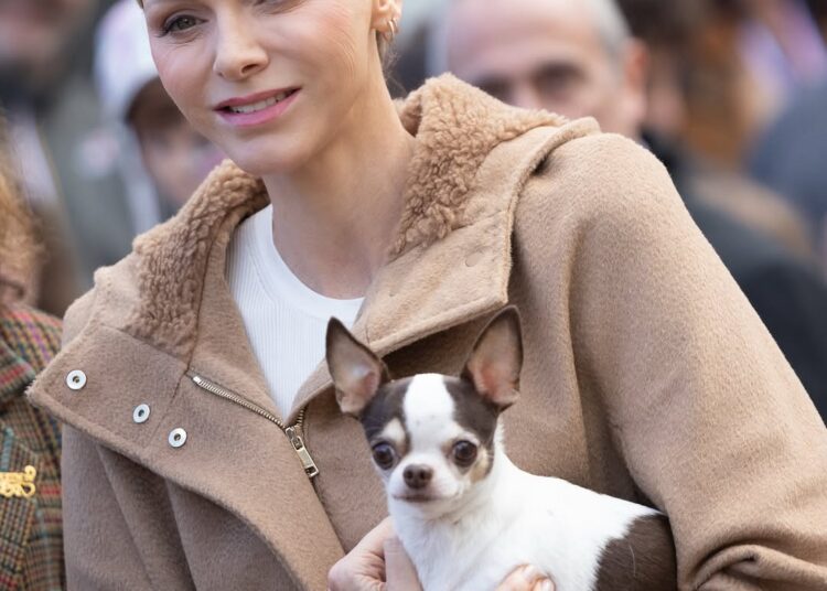 Princesa Charlene faz uma aparição rara em jeans enquanto seu adorável cachorro rouba a cena em um evento de caridade