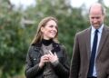 Princesa Kate pula viagem do Príncipe William ao Brasil quando a razão surge – Royals – Notícias