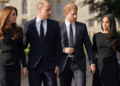 Príncipe Harry chateado com o conselho do irmão sobre Meghan Markle - especialista
