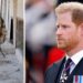 Príncipe Harry escreve ensaio sobre ser britânico – 5 anos depois de abandonar o Reino Unido – Royals – Notícias