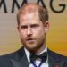 Príncipe Harry pede desculpas em meio à reação – ‘Eu estava sob pressão’ – Celebrity News – Entretenimento