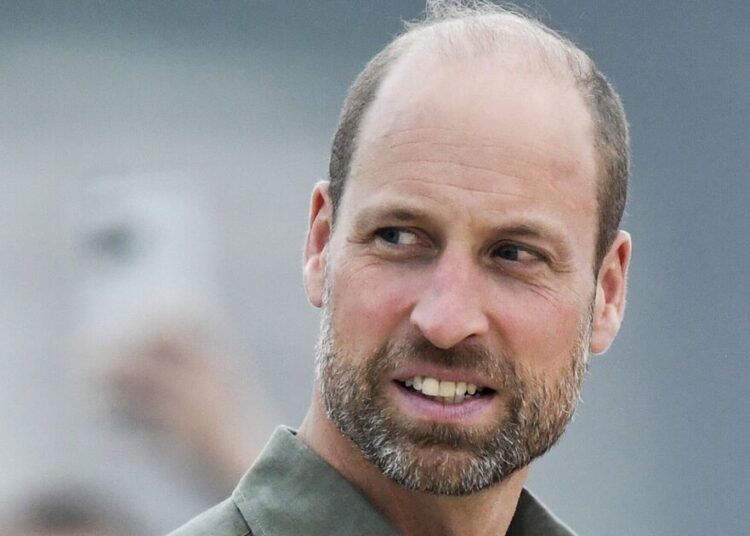Príncipe William ‘revira os olhos’ diante da tentativa de Harry de ‘elevar seu perfil’ – Royals – Notícias