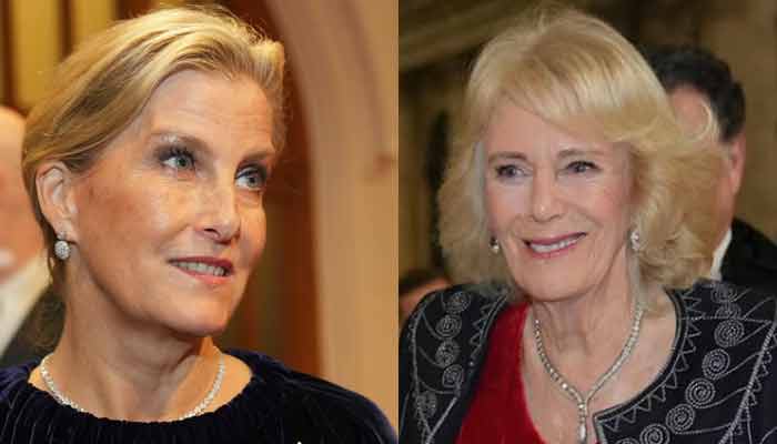 Queen Camilla, Duchess Sophie show royal power, glamour at London awards