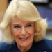 Rainha Camilla acabou de usar uma tiara de US$ 13 milhões