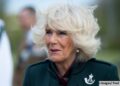 Rainha Camilla destaca sua conexão com The Rifles no Remembrance Sunday