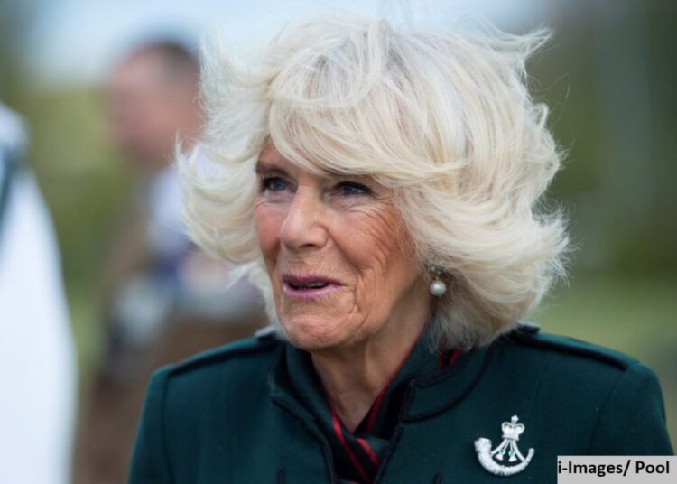 Rainha Camilla destaca sua conexão com The Rifles no Remembrance Sunday