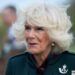 Rainha Camilla destaca sua conexão com The Rifles no Remembrance Sunday