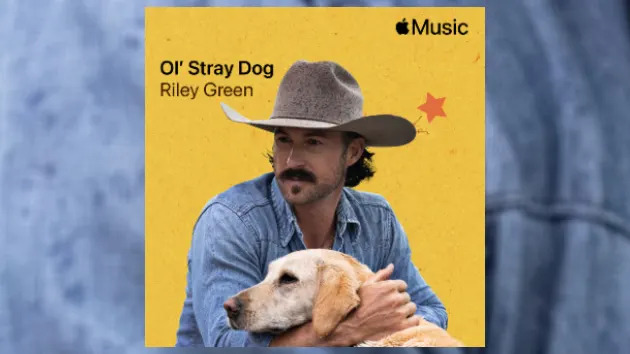 Riley Green encontra um ‘Velho’ Stray Dog’