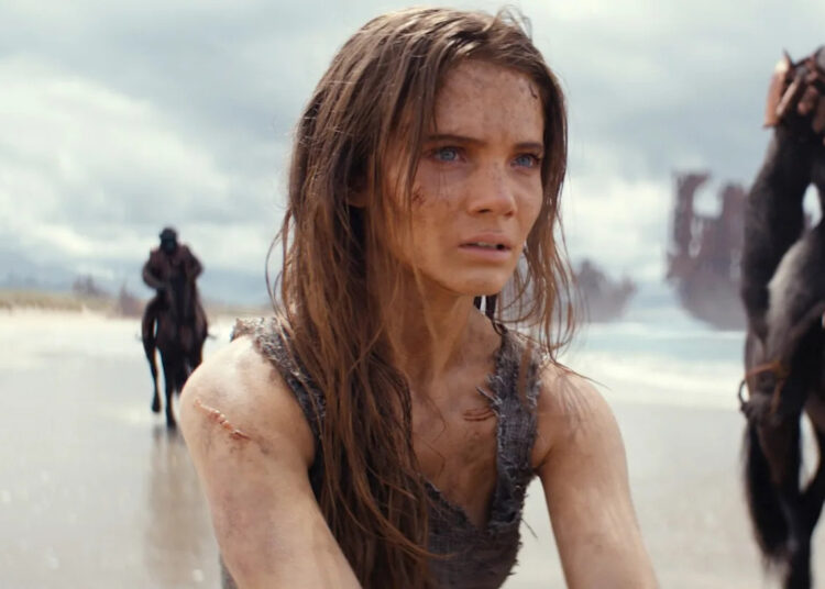 Se houver um filme que você deve transmitir neste fim de semana, assista este agora (14 a 16 de novembro)