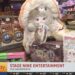Stage Nine Entertainment tem os brinquedos mais recentes para suas compras de Natal!
