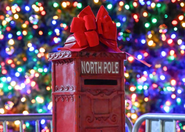 Syracuse finaliza planos de entretenimento para iluminação anual de árvores de Natal no centro da cidade