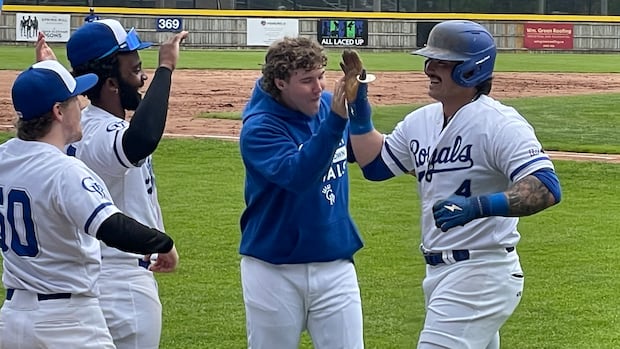 Time de beisebol Guelph Royals à venda dias após mudanças na liga